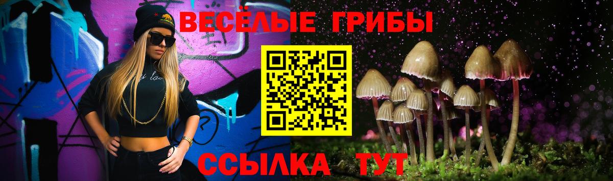 Шатура  Псилоцибиновые грибы мицелий  Вход с VPN  Псилоцибиновые грибы Cubensis 
